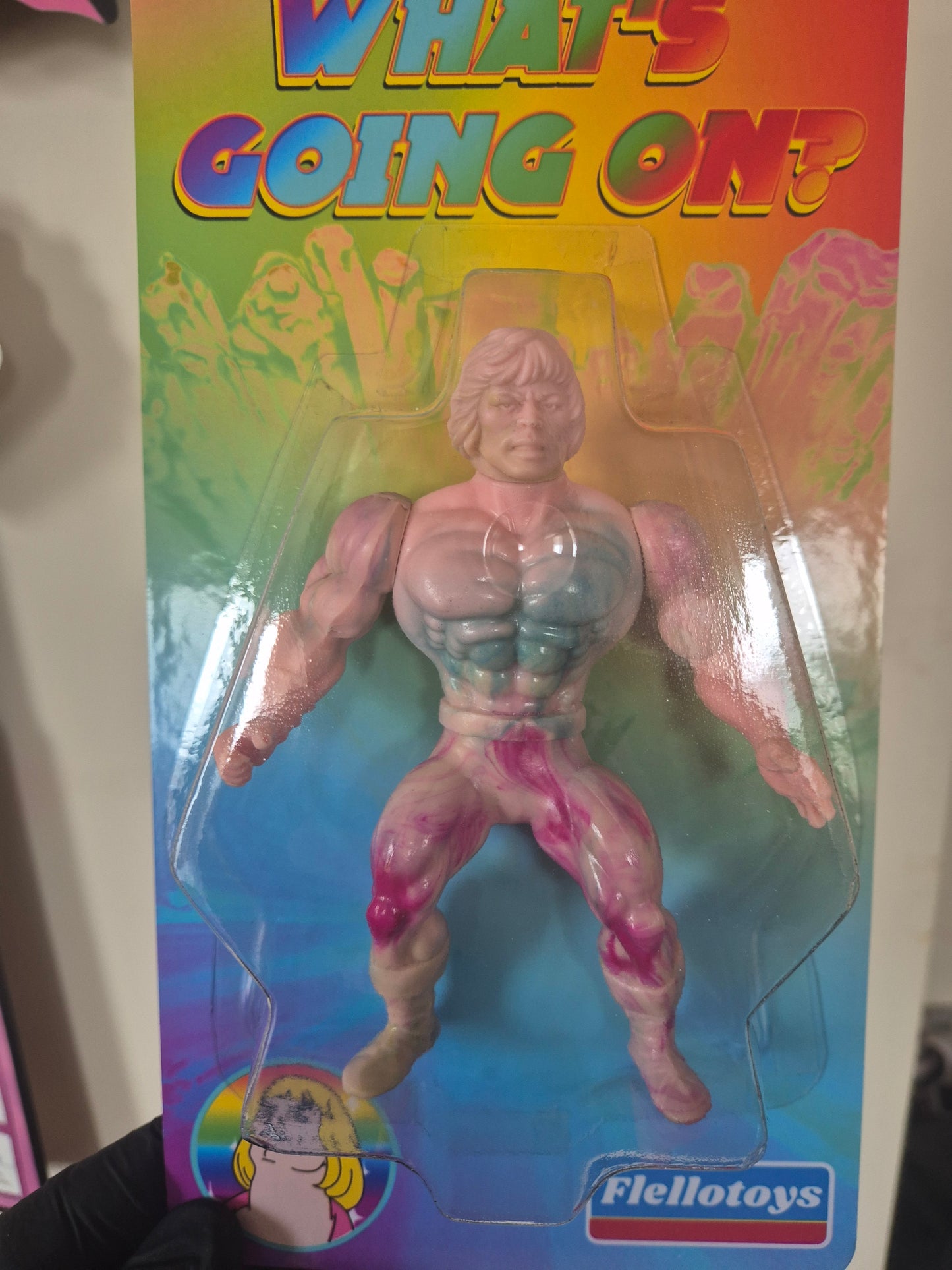 He-man Whats going on? Figure